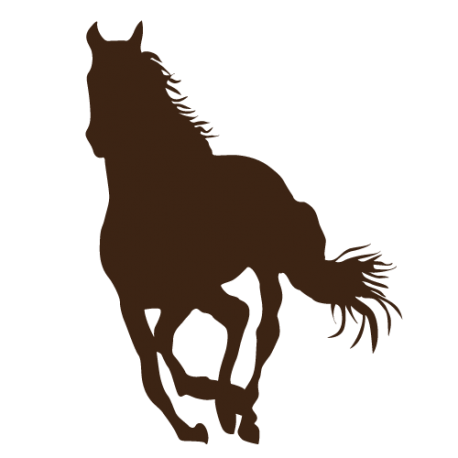 Sticker prénom personnalisé et le cheval étoilé – STICKERS ANIMAUX - Stickers  Chevaux - Ambiance-sticker