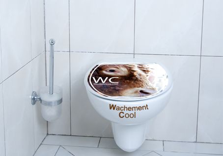 Stickers Abattant WC 